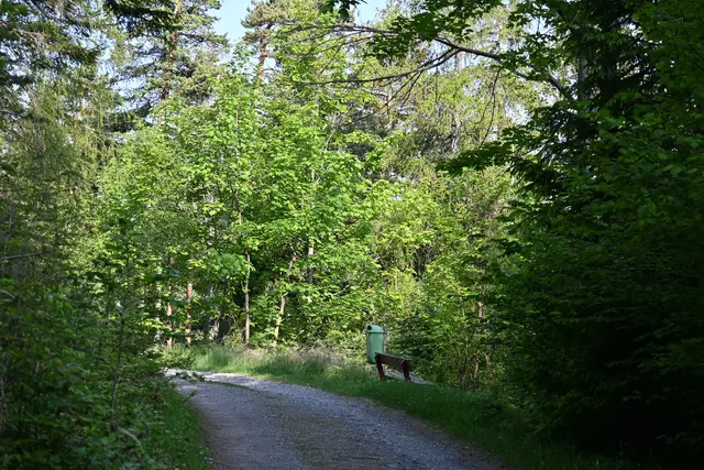 Liechtensteinstraße