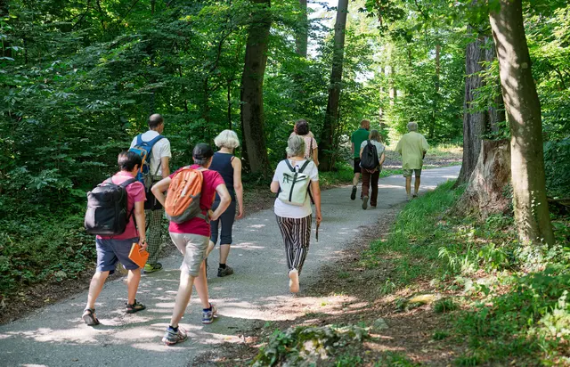 Begleitet werden die Wanderungen von Forstexperten der Stadt. Die Teilnehmerinnen und Teilnehmer erfahren Wissenswertes über Bedürfnisse, Besonderheiten und den großen Nutzen der Stadtwälder. | Foto: Stadt Salzburg / Alexander Killer