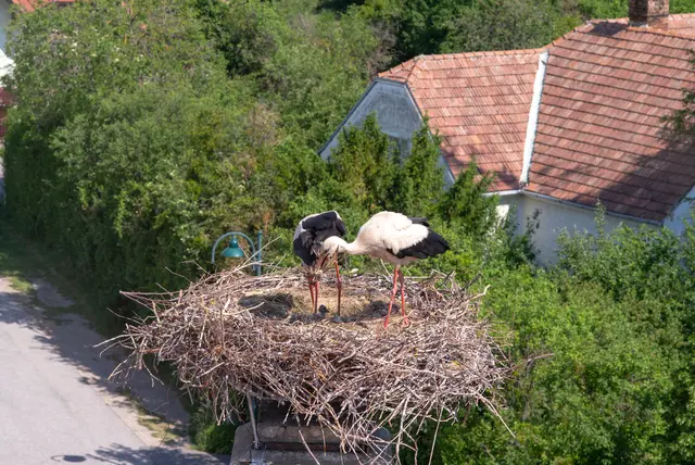 Foto: Santrucek