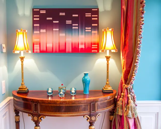 Foto: Confidence DNA-Analysen