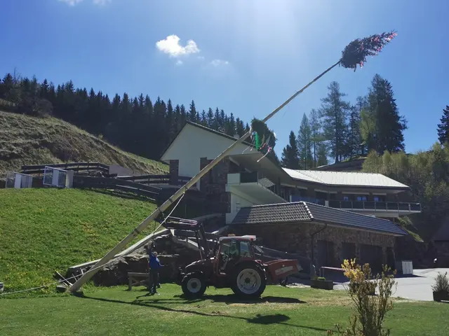 Der Bauernbund beim Aufstellen des regionalen Siegerbaums. | Foto: Anja Ziegerhofer