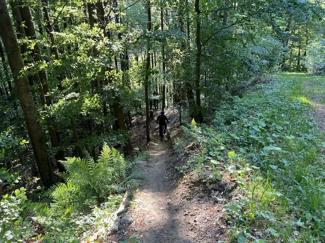 Foto: MTB.STP