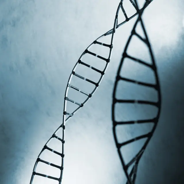 Das Testverfahren bei Confidence DNA ist zuverlässig, reibungslos und bringt Sicherheit in der Lebensplanung. | Foto: Confidence DNA-Analysen
