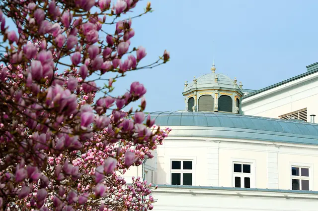 Die neue Spielzeit am Salzburger Landestheater lädt das Publikum ein, dem "Lärm der Welt" zu entfliehen und die Phantasie zu pflegen. Ein bunter Reigen aus Klassikern und aktuellen Themen wird 2026/2027 auf die Bühne gebracht.  | Foto: SLT/Anna-Maria Löffelberger