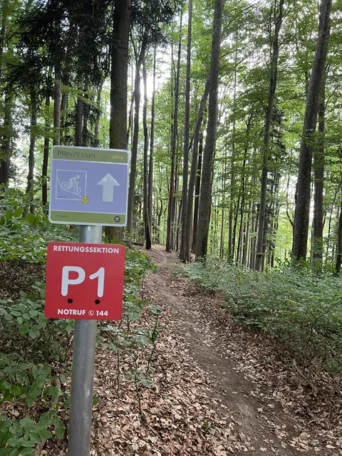 Foto: MTB.STP
