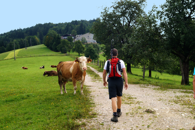 Foto: NUPAT/Pumberger