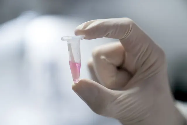 Vaterschaftstests fordern höchste Präzision, Zuverlässlichkeit und häufig Diskretion. Confidence DNA-Analysen bieten all dies und geben Ihnen die Sicherheit, die Sie für Ihre Zukunftsplanung brauchen. | Foto: Confidence DNA-Analysen