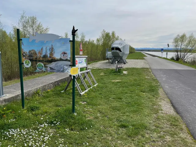 Foto: MeinBezirk Perg