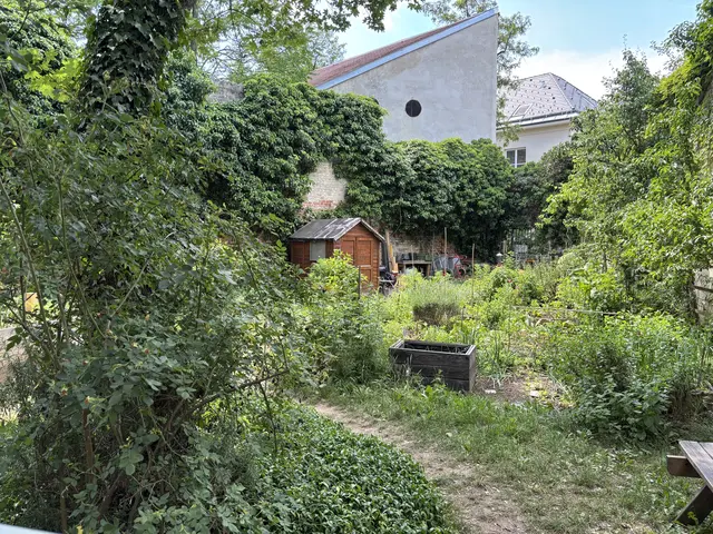 Am Samstag, 6. Juni, öffnet der Grätzlgarten am Alsergrund von 14 bis 16 Uhr seine Tore für Besichtigungen und Gespräche.  | Foto: Fabian Franz/MeinBezirk