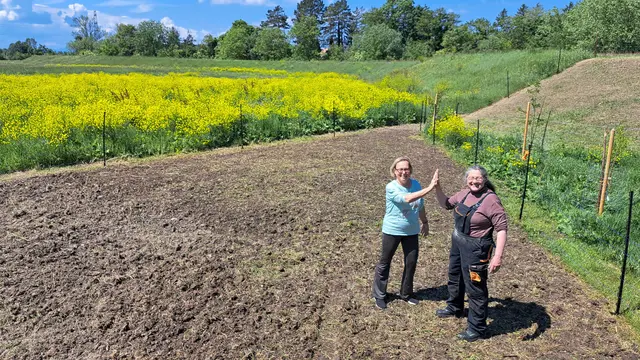 Biodiversitätsfläche im Naschgarten der Artenvielfalt angelegt