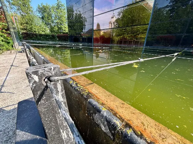 Locker gespannte Schnüre am Teich der Sankt Franziskus Kirche in Wels-Vogelweide werden zum Streitpunkt im Internet. | Foto: MeinBezirk