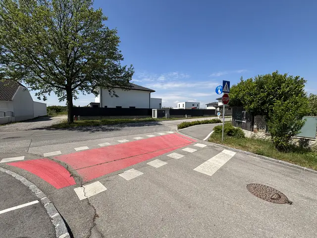 Auf der Kieferstraße in Nitzing. | Foto: Victoria Edlinger