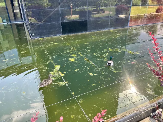 Locker gespannte Schnüre am Teich der Sankt Franziskus Kirche in Wels-Vogelweide werden zum Streitpunkt im Internet. | Foto: MeinBezirk