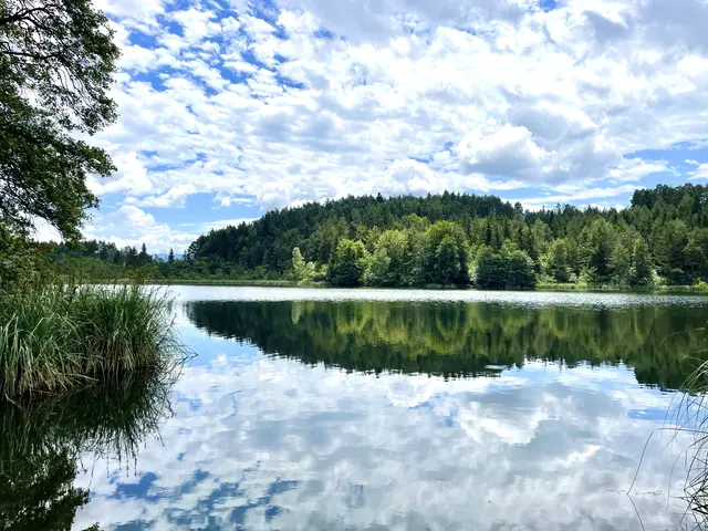 Saissersee (Archivfoto) | Foto: MeinBezirk/Sabrina Radowan