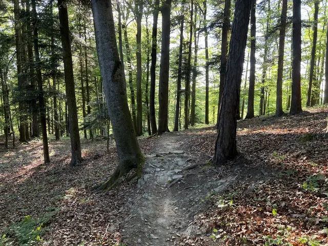 Foto: MTB.STP