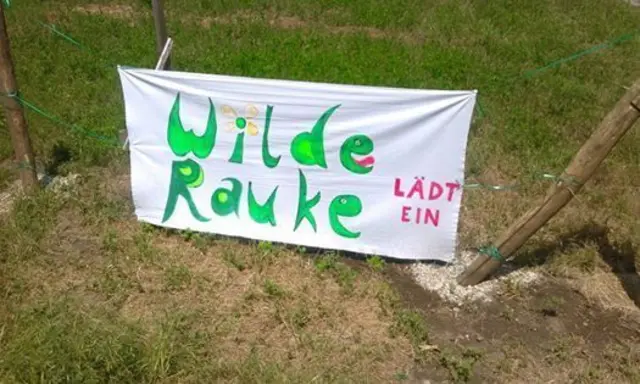 Die "Wilde Rauke" arbeitet mit lokalen Biobauern und einer Imkerei zusammen. Das gemeinsam bewirtschaftete Feld liegt am Marchfeldkanal. | Foto: Günther Koller
