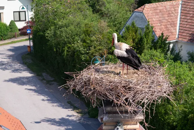 Foto: Santrucek