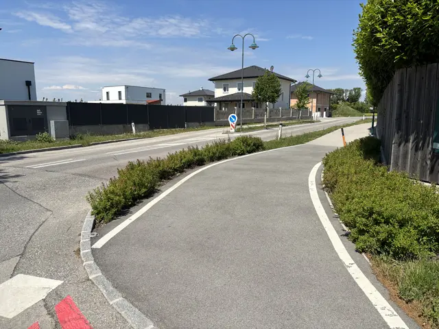 Auch wenn man direkt am Radweg sieht, die Sicht bleibt trotzdem noch eingeschränkt. | Foto: Victoria Edlinger