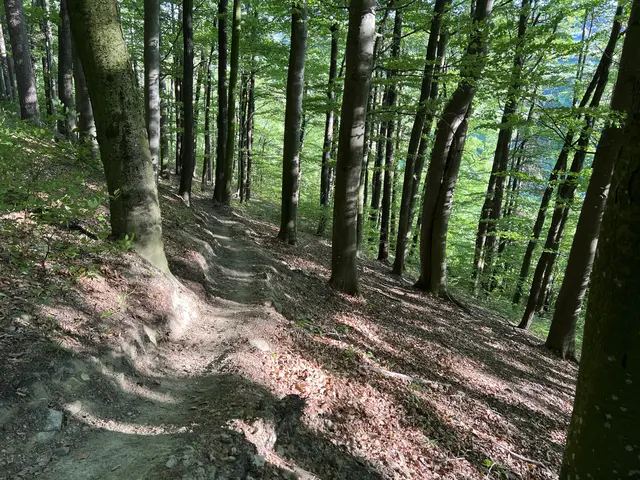 Foto: MTB.STP
