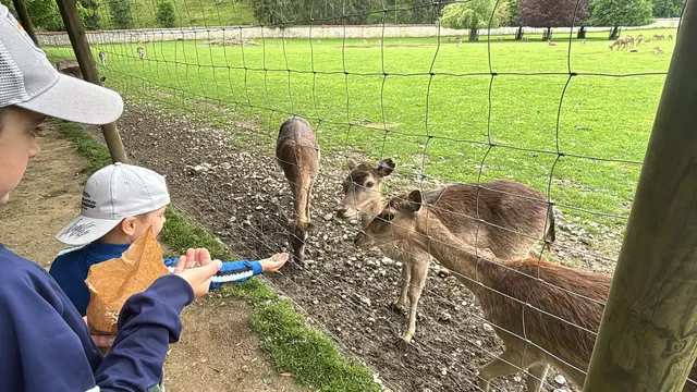 Tierpark Rosegg | Foto: Leitner