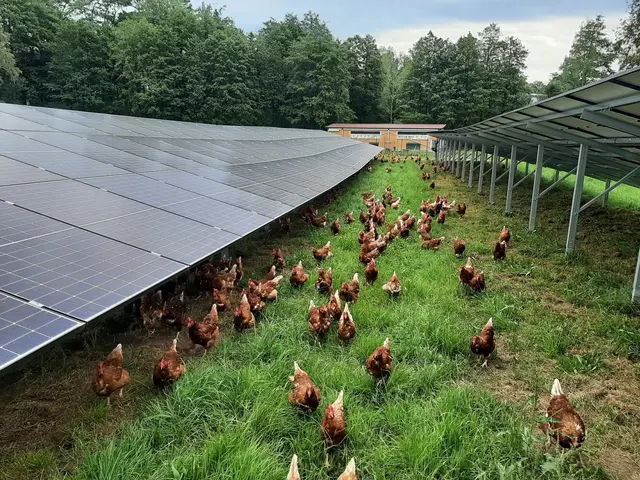 PV-Anlagen sind überall in unserer Region sichtbar. Von Dächern auf Einfamilienhäusern über industrielle Anlagen bis hin zu Wiesen- und Ackerflächen. | Foto: KWG