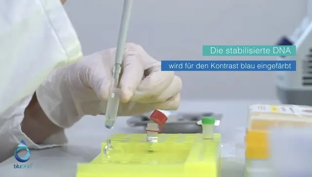 Foto: Confidence DNA-Analysen