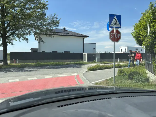 Die Sicht aus dem Auto. | Foto: Victoria Edlinger
