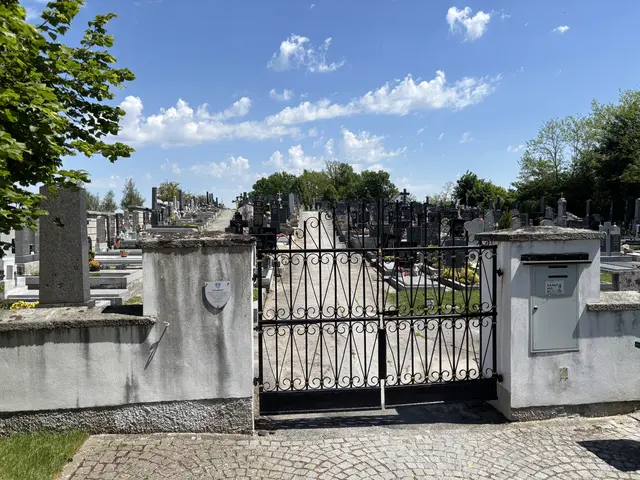 Eingang zum Friedhof in Thaya: Hier wurden Grabplatten verschoben. | Foto: Daniel Schmidt