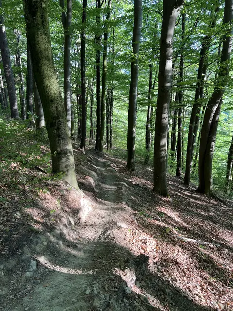 Foto: MTB.STP