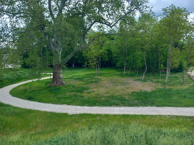 Die Satoryinsel in St. Veit an der Triesting wird um neue Freizeitangebote erweitert. | Foto: Stadtgemeinde Berndorf 