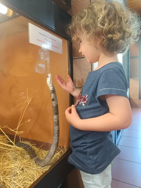 Reptilienzoo Nockberge | Foto: Gratzer