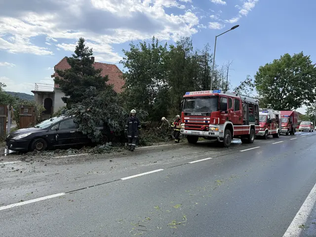Umgestürzte Bäume sorgten in St. Michael für erhebliche Schäden. | Foto: Bezirksfeuerwehrkommando Güssing