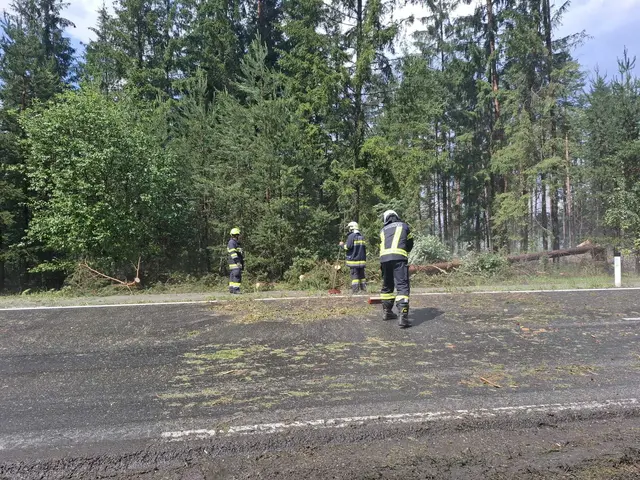 Foto: Feuerwehr St. Michael ob Bleiburg