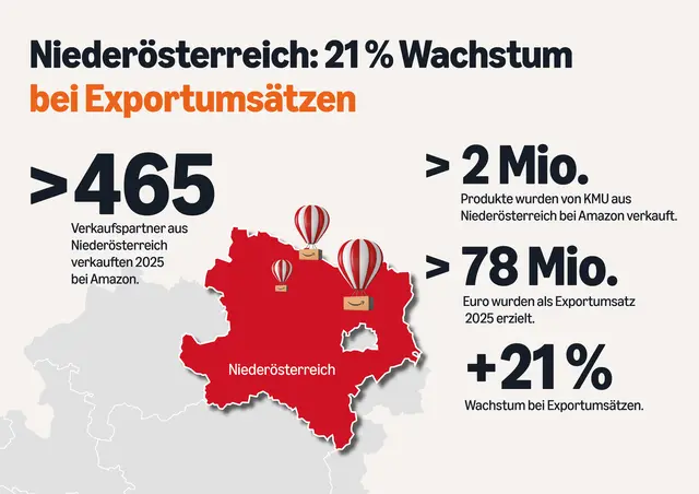 Infografik Niederösterreich | Foto: Maximilian Lottmann