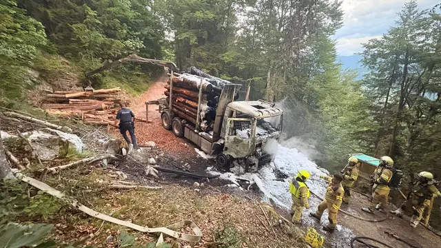Ein LKW geriet am Hinteren Sonnberg in Thiersee während Holzverladearbeiten in Brand und stand zeitweise in Vollbrand. Der Fahrer blieb unverletzt, mehrere Feuerwehren aus Tirol und Bayern standen im Großeinsatz. | Foto: zoom.tirol