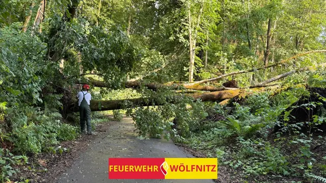 Foto: Freiwillige Feuerwehr Wölfnitz/Klagenfurt