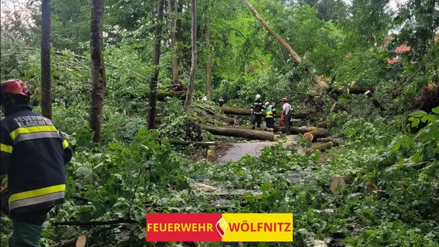 Foto: Freiwillige Feuerwehr Wölfnitz/Klagenfurt