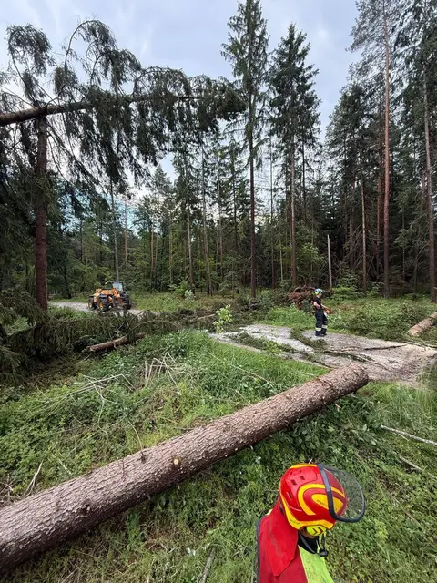 Foto: FF St Peter am Wallersberg
