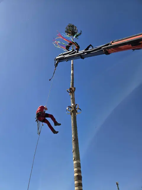 Dritter Graz-Sieg in Folge für den Maibaum in Ries