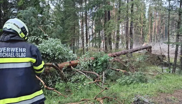 Foto: Feuerwehr St. Michael ob Bleiburg