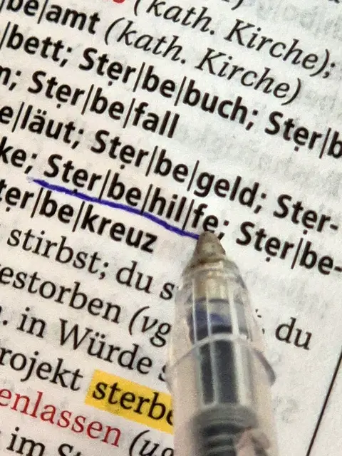 Eine Neuregelung wird derzeit innerhalb der Bundesregierung abgestimmt. | Foto: APA-Images / APA / GEORG HOCHMUTH