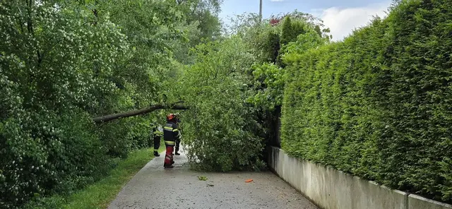 Foto: Feuerwehr Viktring - Stein / Neudorf