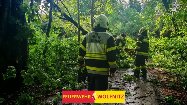 Foto: Freiwillige Feuerwehr Wölfnitz/Klagenfurt