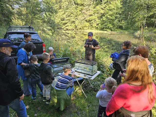 Experten erklären die Tier- und Pflanzenwelt. | Foto: Stadtgemeinde Attnang-Puchheim