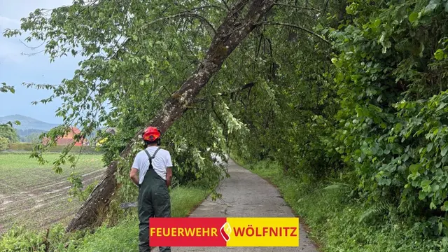 Foto: Freiwillige Feuerwehr Wölfnitz/Klagenfurt