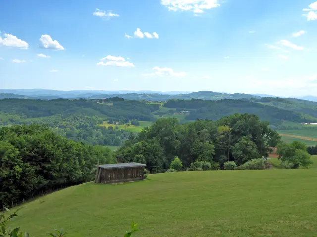 Blick vom Anstieg auf den Bockberg zum Sausal.