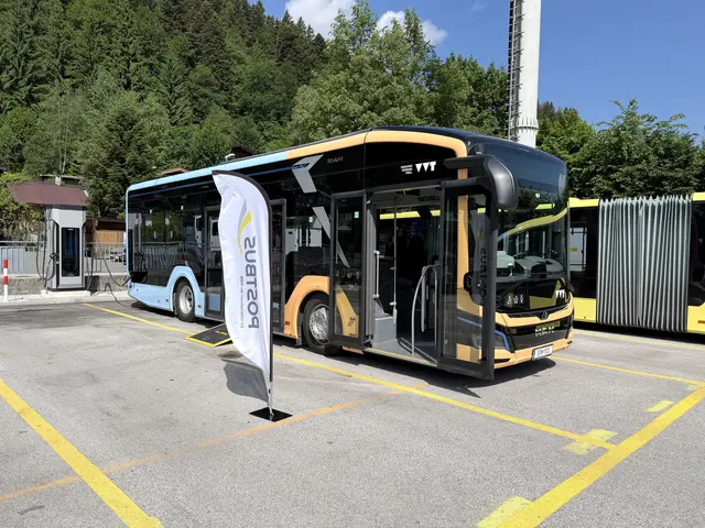 Drei neue E-Busse sind im Kitzbüheler Stadtgebiet im Einsatz. | Foto: Johanna Bamberger