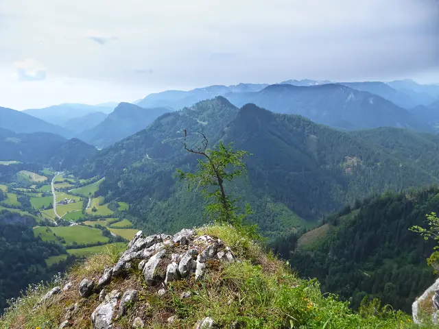 Blick vom Südostgrat der Sauwand ins Gollradbachtal