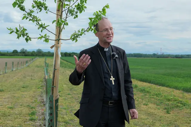 „Hier wird Schöpfungsverantwortung praktisch gelebt. Dass auf Kirchengrund eine Hecke entsteht, die Mensch, Natur und Landwirtschaft verbindet, die Natur schützt und unsere Zukunft sichert, ist ein starkes Zeichen verantwortungsvollen Handelns.“ betont Weihbischof Stephan Turnovszky im Rahmen der Segnung. | Foto: NÖ ABB/Ernst Spahn