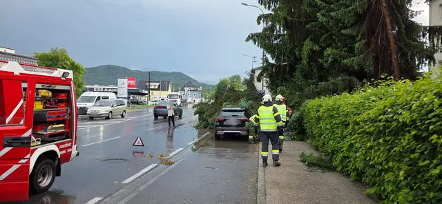 Foto: Feuerwehr Viktring - Stein / Neudorf